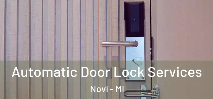 Automatic Door Lock Services Novi - MI