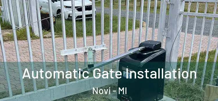 Automatic Gate Installation Novi - MI
