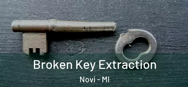 Broken Key Extraction Novi - MI