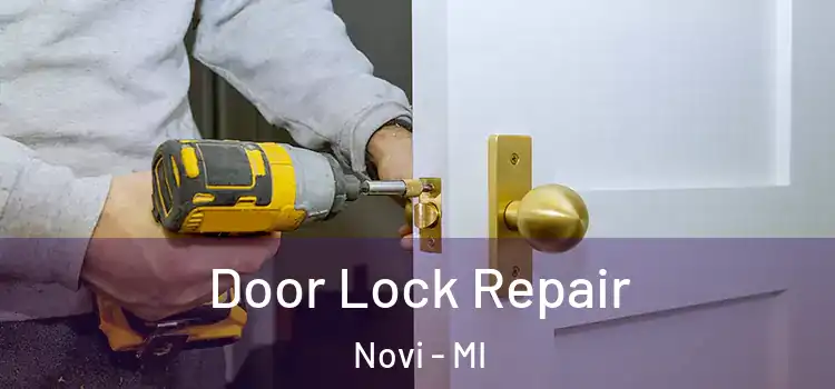 Door Lock Repair Novi - MI