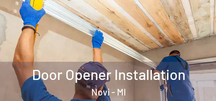 Door Opener Installation Novi - MI