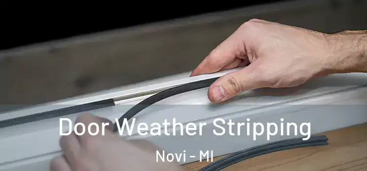Door Weather Stripping Novi - MI