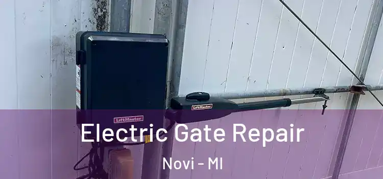 Electric Gate Repair Novi - MI