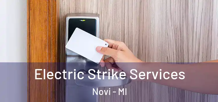 Electric Strike Services Novi - MI