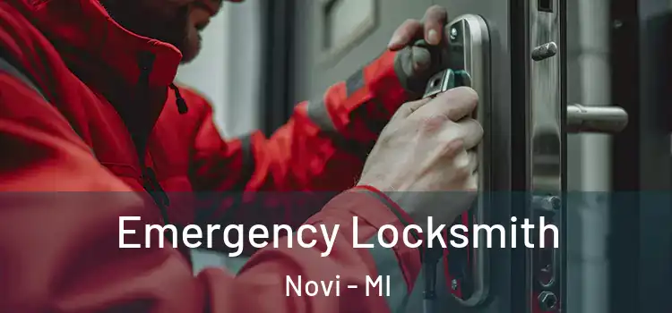 Emergency Locksmith Novi - MI
