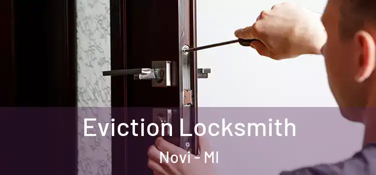 Eviction Locksmith Novi - MI