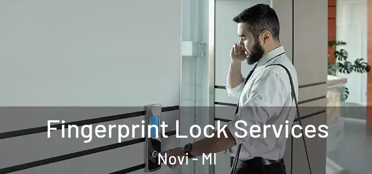 Fingerprint Lock Services Novi - MI