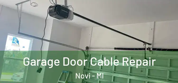  Garage Door Cable Repair Novi - MI