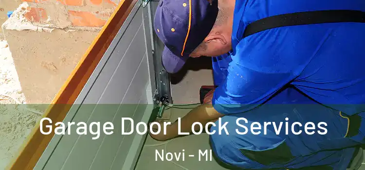 Garage Door Lock Services Novi - MI