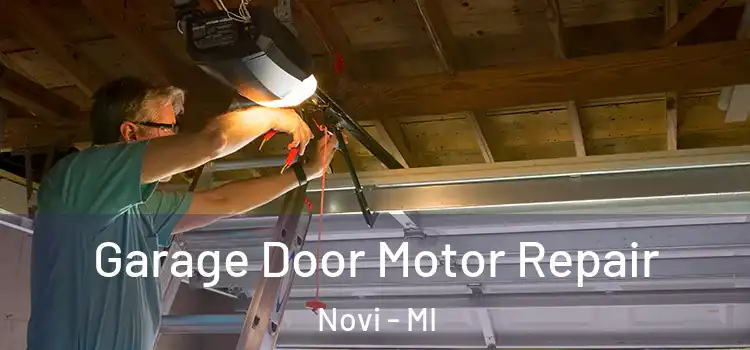  Garage Door Motor Repair Novi - MI
