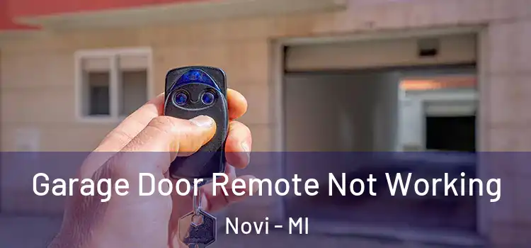  Garage Door Remote Not Working Novi - MI