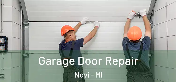  Garage Door Repair Novi - MI