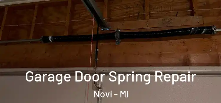  Garage Door Spring Repair Novi - MI