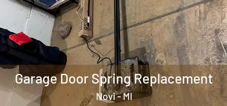  Garage Door Spring Replacement Novi - MI