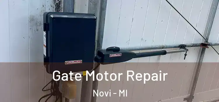 Gate Motor Repair Novi - MI