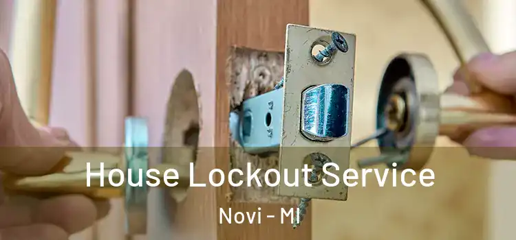 House Lockout Service Novi - MI