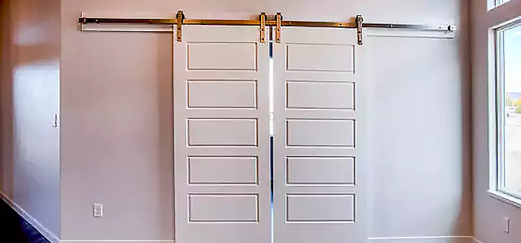 Glass Barn Door with Installation Hardware Kit Novi