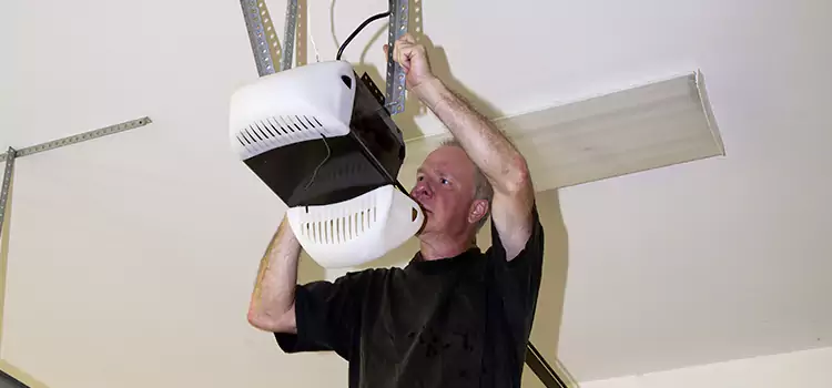 Garage Door Opener Service Novi