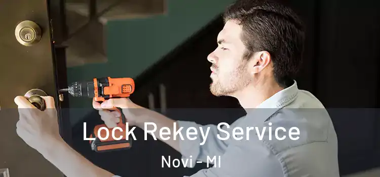 Lock Rekey Service Novi - MI