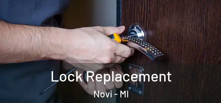 Lock Replacement Novi - MI