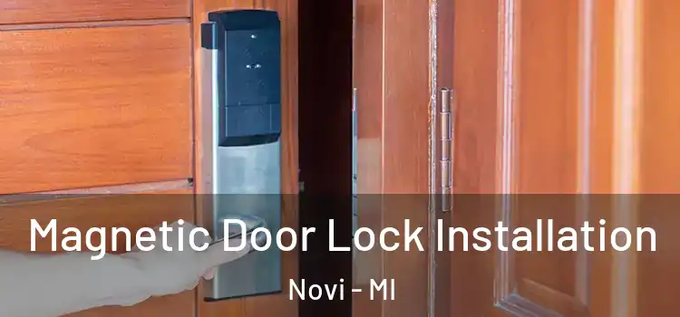  Magnetic Door Lock Installation Novi - MI