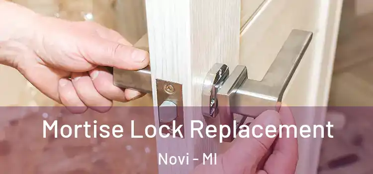 Mortise Lock Replacement Novi - MI