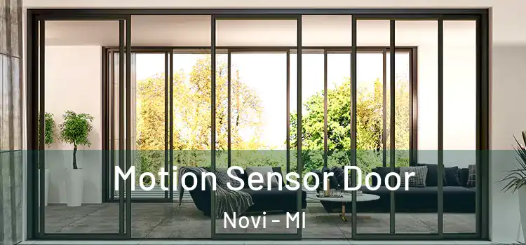 Motion Sensor Door Novi - MI