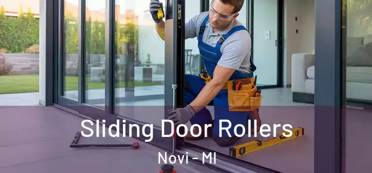 Sliding Door Rollers Novi - MI