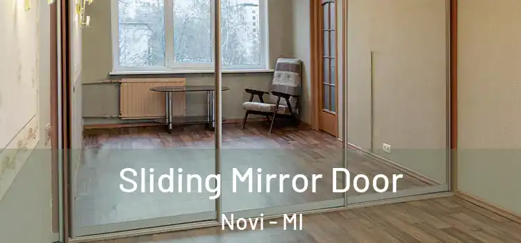  Sliding Mirror Door Novi - MI