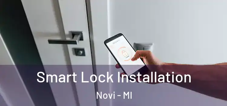 Smart Lock Installation Novi - MI