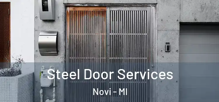 Steel Door Services Novi - MI