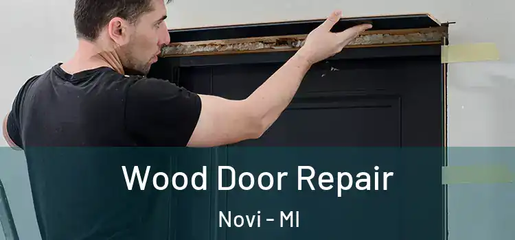 Wood Door Repair Novi - MI